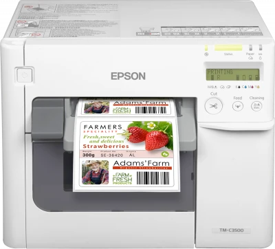 Epson Epson C3500